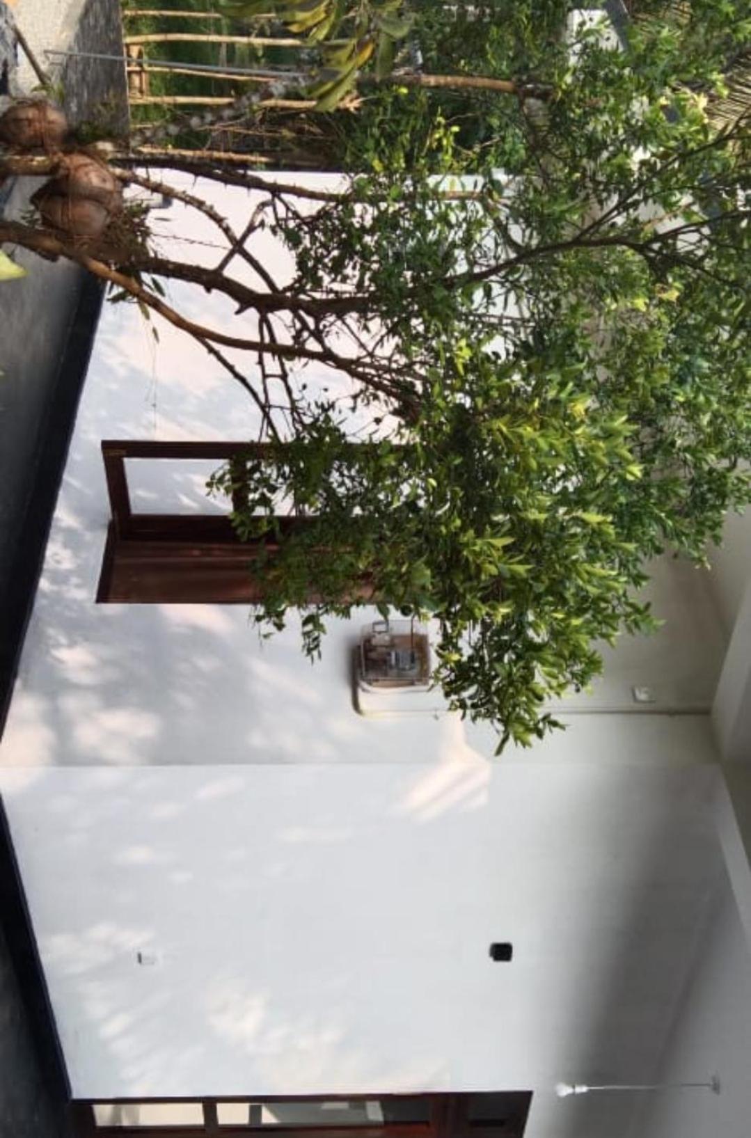 Villa Elegant - Weligama Bagian luar foto